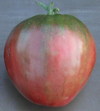 помидор / томат - Черное бычье сердце