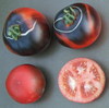 Синий помидор / томат